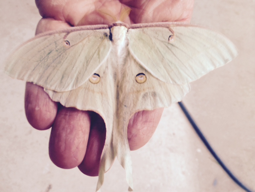 M&C Orsack Plumbing Contractor - Spring, TX