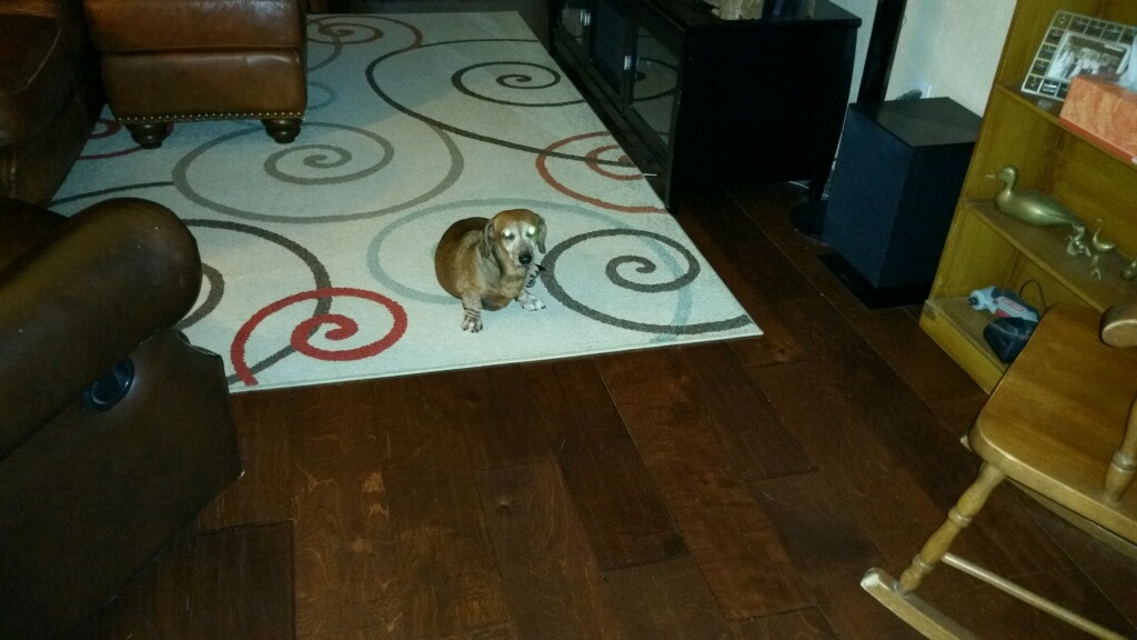 M&C Orsack Plumbing Contractor - Kohrville, TX